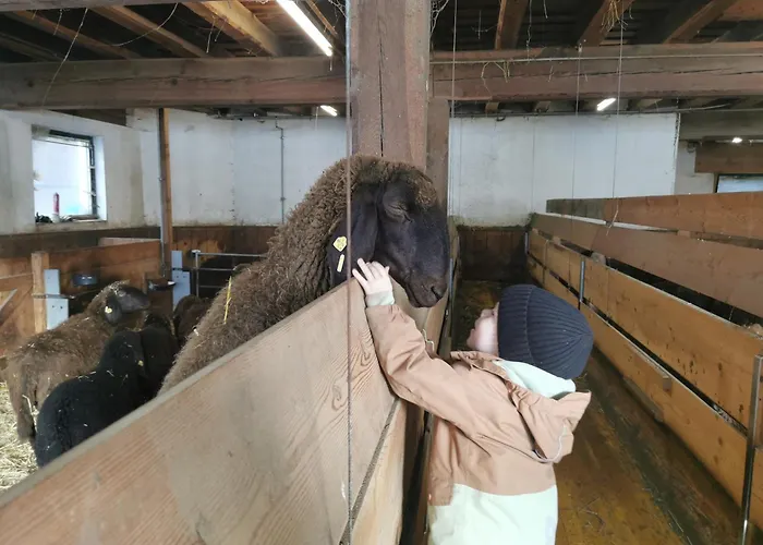 Jedelerhof ניוסטיפט אים סטובאיטל